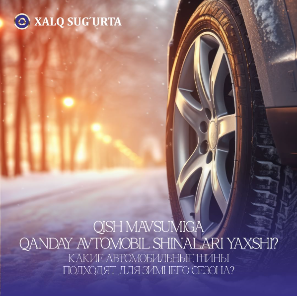 What car tires are good for the winter season?